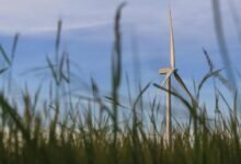 smart digital growth solutions